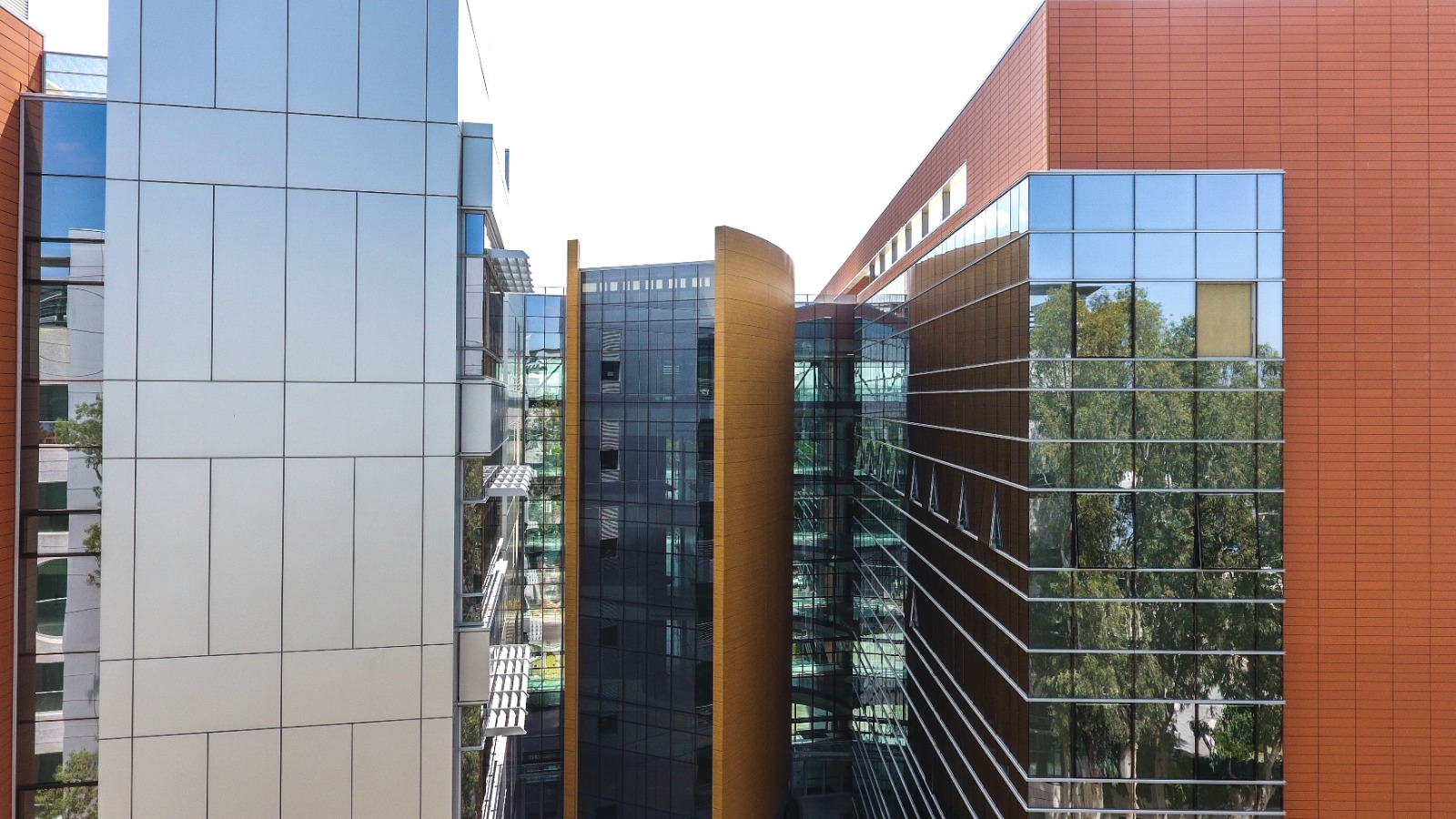 Faculty of Biochemistry — Weizmann Institute