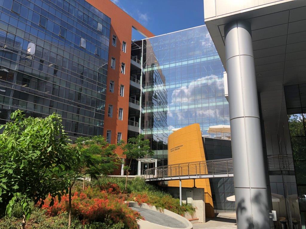 Faculty of Biochemistry — Weizmann Institute