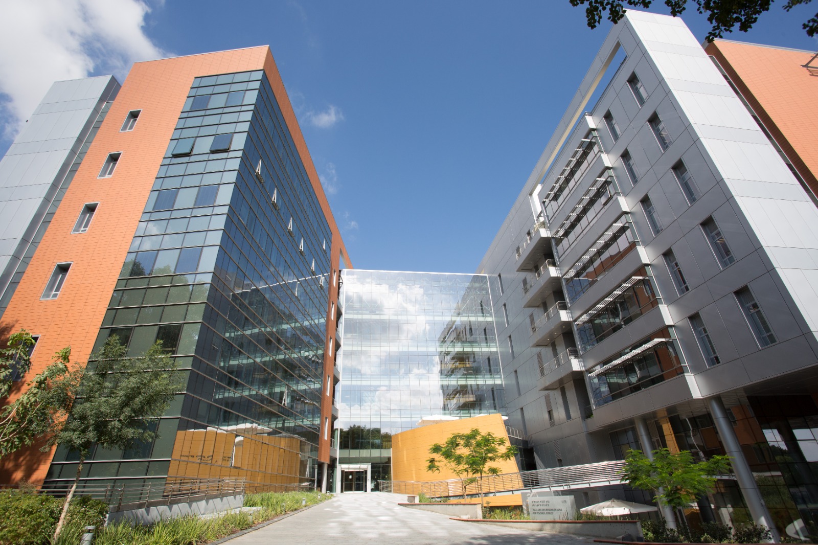 Faculty of Biochemistry — Weizmann Institute